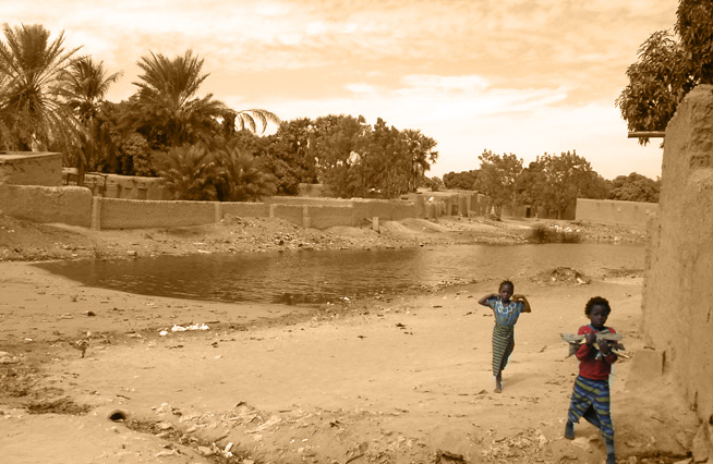 Eau stagnante et environnement insalubre - Mali