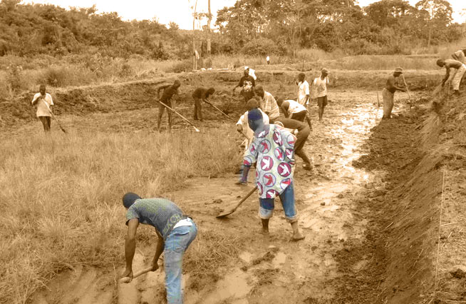 Creusement d'un bassin pour la pisciculture - République du Congo